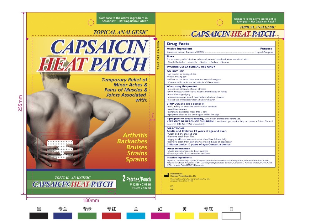 LDR Heat Capsaicin Adhesive Pads 0.025% (2 Count) - Over-the-Counter